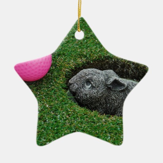 DSCF0652.JPG KERAMISCH ORNAMENT (Voorkant)