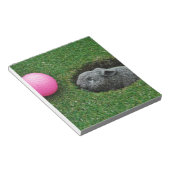 DSCF0652.JPG NOTITIEBLOK (Schuin)