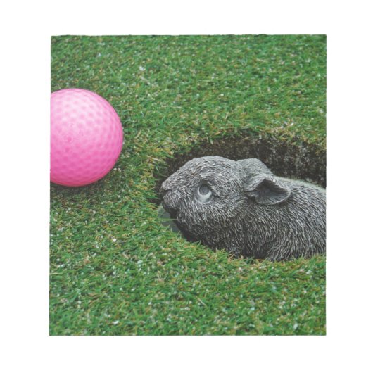 DSCF0652.JPG NOTITIEBLOK (Voorkant)