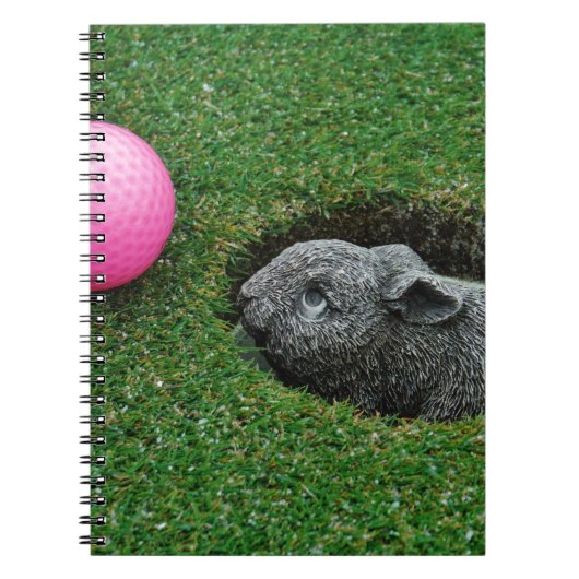 DSCF0652.JPG NOTITIEBOEK (Voorkant)