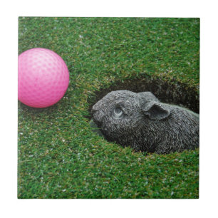 DSCF0652.JPG TEGELTJE