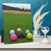 DSCF0692.JPG FOTOPLAAT (Zijkant)