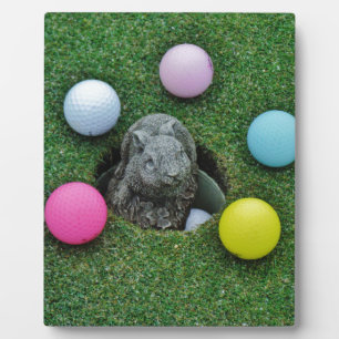 DSCF0698.JPG FOTOPLAAT