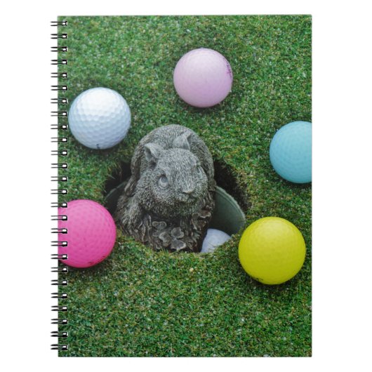 DSCF0698.JPG NOTITIEBOEK (Voorkant)