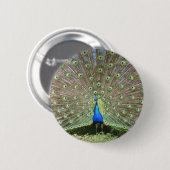 DSCF1062 RONDE BUTTON 5,7 CM (Voorkant /achterkant)