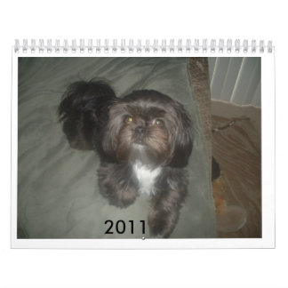 DSCF1937                              2011 KALENDER