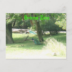 DSCF2638, Bronx Zoo Briefkaart