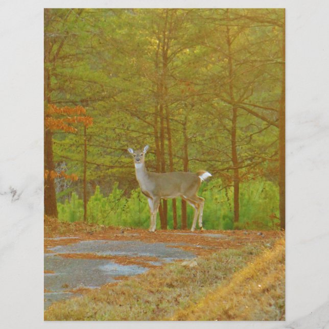 DSCF4041.JPG (Voorkant)