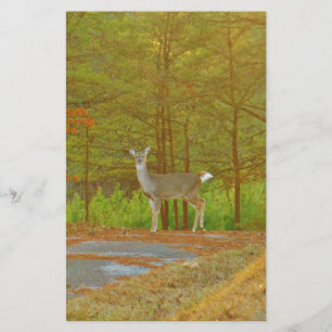 DSCF4041.JPG BRIEFPAPIER