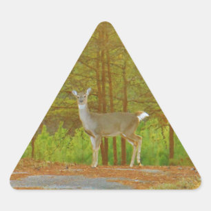 DSCF4041.JPG DRIEHOEK STICKER