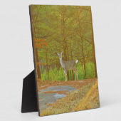 DSCF4041.JPG FOTOPLAAT (Zijkant)