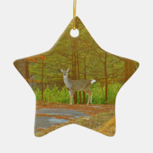 DSCF4041.JPG KERAMISCH ORNAMENT (Voorkant)