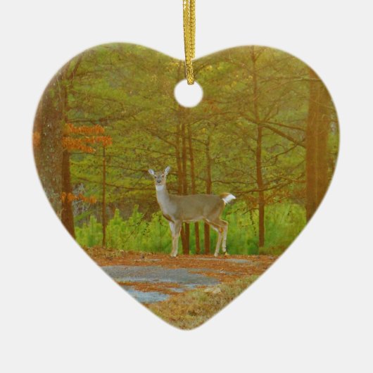 DSCF4041.JPG KERAMISCH ORNAMENT (Voorkant)