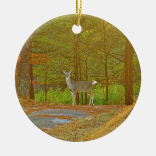 DSCF4041.JPG KERAMISCH ORNAMENT (Voorkant)