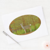 DSCF4041.JPG OVALE STICKER (Envelop)