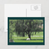 DSCF6146 BRIEFKAART (Voorkant / Achterkant)