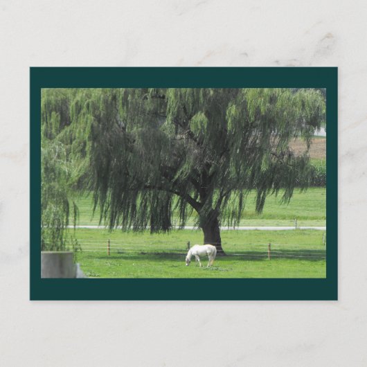 DSCF6146 BRIEFKAART (Voorkant)