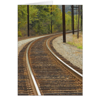 DSCF6914,~in uw woorden~