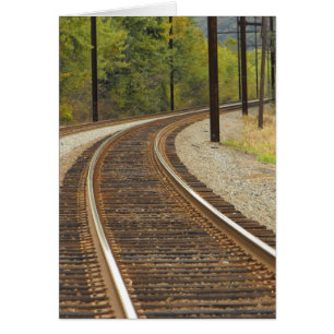 DSCF6914, ~in votre words~