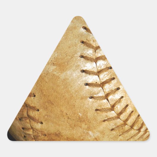 DSCF7523.JPG DRIEHOEK STICKER (Voorkant)