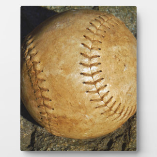 DSCF7523.JPG FOTOPLAAT