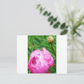 DSCI0964.JPG BRIEFKAART (Staand voorkant)