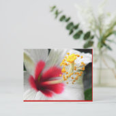 DSCN0387 BRIEFKAART (Staand voorkant)