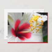 DSCN0387 BRIEFKAART (Voorkant / Achterkant)