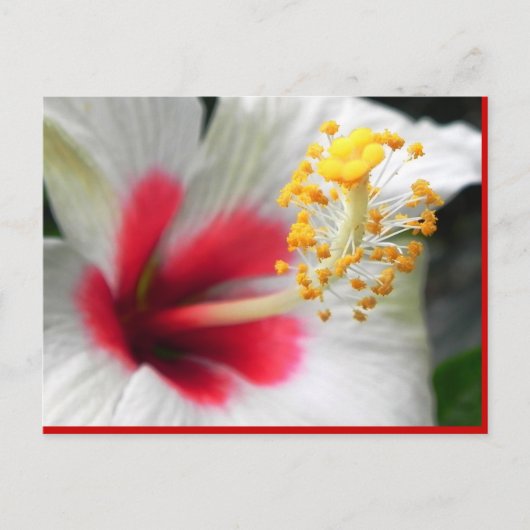 DSCN0387 BRIEFKAART (Voorkant)