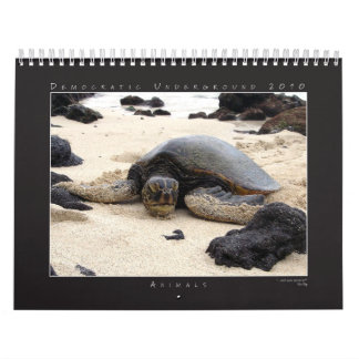 DU 2010-agenda voor de groep fotografie Kalender