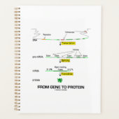 Du Gène À La Biologie Moléculaire Protéine (Devant)