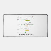 Du Gène À La Biologie Moléculaire Protéine (Recto)