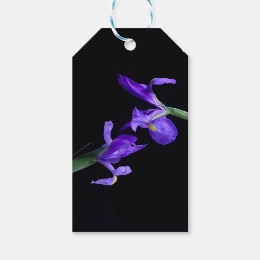 Dual Paarse Iris Gift Label Cadeaulabel (Voorkant)
