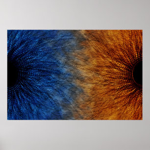 Dualiteit Poster