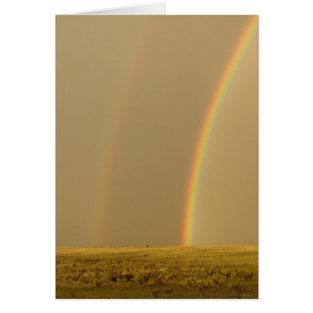 Dubbel de liefde (Voorkant)