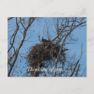 Dubbel Eagle Trouble Briefkaart