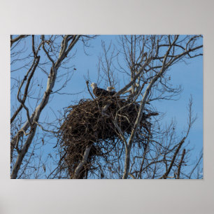 Dubbel Eagle Trouble Poster