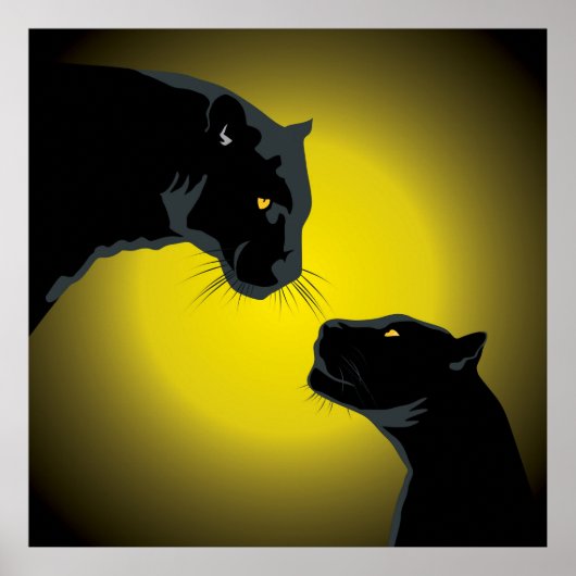 Dubbel zwart Panthers Poster (Voorkant)