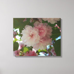 Dubbelbloeiende Cherry Tree I Spring Floral Canvas Afdruk