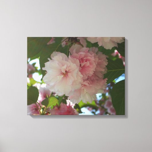 Dubbelbloeiende Cherry Tree I Spring Floral Canvas Afdruk (Voorkant)