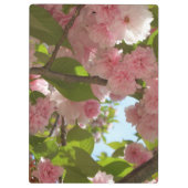 Dubbelbloeiende Cherry Tree I Spring Floral Klembord (Achterkant)