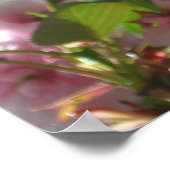 Dubbelbloeiende Cherry Tree I Spring Floral Poster (Hoek)