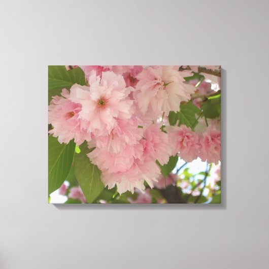 Dubbelbloeiende Cherry Tree II Spring Floral Canvas Afdruk (Voorkant)