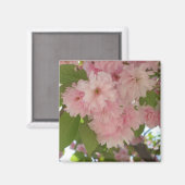 Dubbelbloeiende Cherry Tree II Spring Floral Magneet (Voorkant / Achterkant)