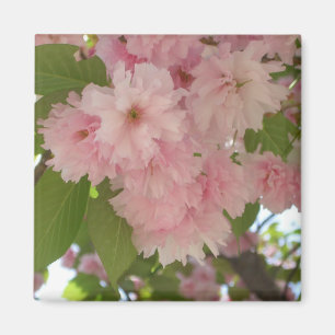 Dubbelbloeiende Cherry Tree II Spring Floral Magneet