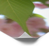 Dubbelbloeiende Cherry Tree II Spring Floral Poster (Hoek)
