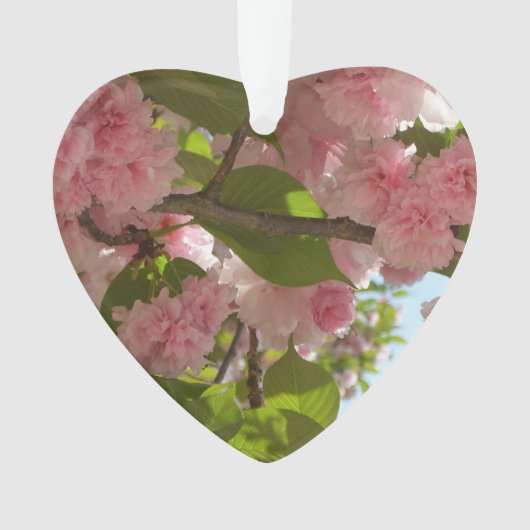 Dubbelbloeiende Cherry Tree III Spring Floral Ornament (voorkant)