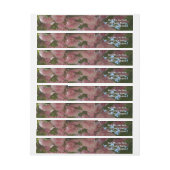 Dubbelbloeiende Cherry Tree IV Spring (Vel)