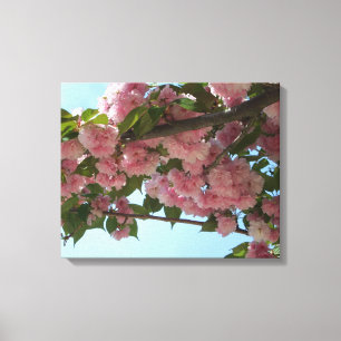 Dubbelbloeiende Cherry Tree IV Spring Canvas Afdruk