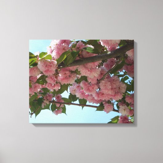 Dubbelbloeiende Cherry Tree IV Spring Canvas Afdruk (Voorkant)
